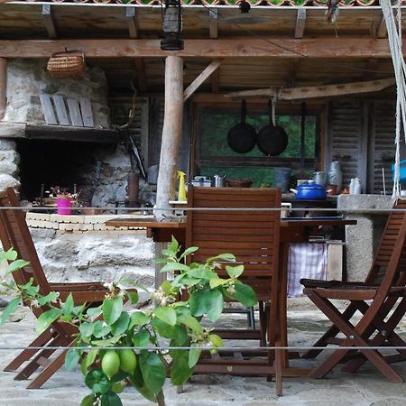 Saint-Jean-des-Ollières La Freiressa B&B 외부 사진