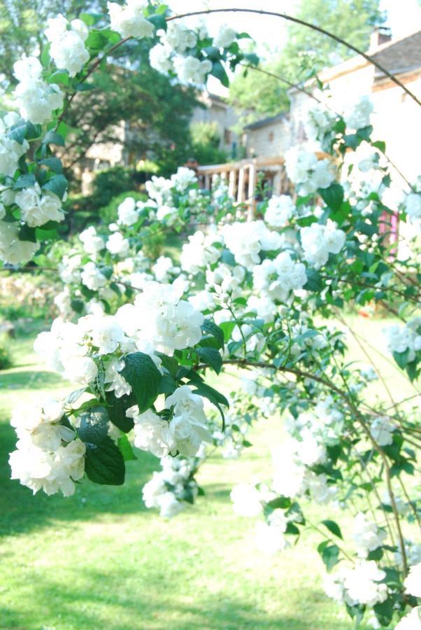 Saint-Jean-des-Ollières La Freiressa B&B 외부 사진